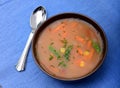 Vegetable Soup Royalty Free Stock Photo
