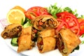 Vegetable spring roll and salad