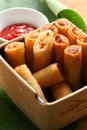 Vegetable spring rolls Royalty Free Stock Photo
