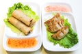 Vegetable Spring Rolls and Chicken Dumplings