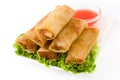 Vegetable spring rolls isolated Royalty Free Stock Photo