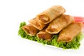 Vegetable spring rolls isolated Royalty Free Stock Photo