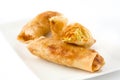 Vegetable spring rolls isolated Royalty Free Stock Photo