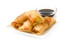 Vegetable spring rolls isolated Royalty Free Stock Photo