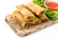 Vegetable spring rolls isolated Royalty Free Stock Photo