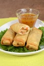 Vegetable spring rolls with plum sauce Royalty Free Stock Photo