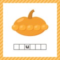 Vegetable. Squash. Educational logic worksheet for preschool and school age. Guess the word.