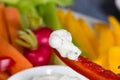 Vegetable sticks with herb and tomato dip Royalty Free Stock Photo