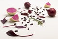 Vegetable still life in burgundy. Bean seeds, radish halves, onion and lettuce leaves on white