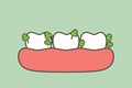 Vegetable stuck in teeth, cause of decay tooth and bad breath