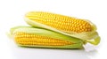 vegetable sweet corn white background In Royalty Free Stock Photo