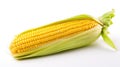 vegetable sweet corn white background In Royalty Free Stock Photo