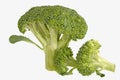 Three piece Green Broccoli on white background Royalty Free Stock Photo