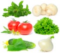 Vegetable - tomato, mushroom, cucumber