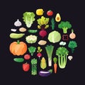 Vegetable vector circle background. Modern flat design. Royalty Free Stock Photo