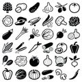 Vegetable vector icon illustration