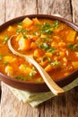 Vegetable vegetarian sweet potato with lentil soup close-up in a bowl. vertical Royalty Free Stock Photo