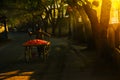 Vegetable vendor bike on streets Royalty Free Stock Photo