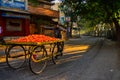 Vegetable vendor bike on streets