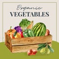 Vegetable watercolor paint collection. Fresh food organic decor healthy ad design illustration