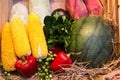 Vegetable and watermelon Royalty Free Stock Photo