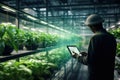 Vegetable woman green gardening person farmer technology greenhouse farming organic agricultural plant Royalty Free Stock Photo