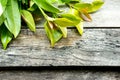 Vegetable on wood background