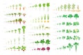 Vegetables agricultural plant, growth big set animation. Vector infographics showing the progression growing plants. Growth stages