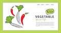 Vegetables banner template vector illustration, vegetable store homepage, web banner, webpage cartoon concept, Healthy food homep Royalty Free Stock Photo