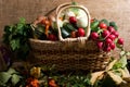 Vegetables in the basket Royalty Free Stock Photo