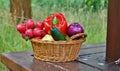 Vegetables in the basket