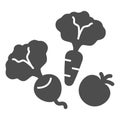 Vegetables, beetroot, carrot and tomato solid icon, gardening concept, veggies vector sign on white background, glyph