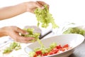 Vegetables being sliced Royalty Free Stock Photo