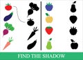 Vegetables, berries and fruits. Find the correct shadow. Game for children. Vector illustration.