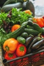 Vegetables in the box are intended for fermentation. Eggplant, peppers, tomatoes and cucumbers are ready for processing. Close up Royalty Free Stock Photo