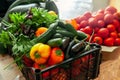 Vegetables in the box are intended for fermentation. Eggplant, peppers, tomatoes and cucumbers are ready for processing. Close up Royalty Free Stock Photo