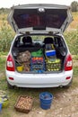 Vegetables in boxes and bags loaded in the trunk of a car