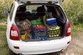 Vegetables in boxes and bags loaded in the trunk of a car