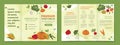 Vegetables brochure vector set Royalty Free Stock Photo