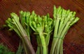 Vegetables in bunches originating from market Royalty Free Stock Photo