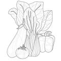 Vegetables. Cabbage, eggplant, pepper and tomato.Coloring book antistress for children and adults