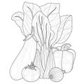 Vegetables. Cabbage, eggplant, pepper, tomato and onion.Coloring book antistress for children and adults.