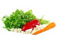 Vegetables: carrot, bell pepper, garlic, parsley and dill leaves isolated on white Royalty Free Stock Photo