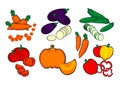 Vegetables, carrot, eggplant, cucumber, tomato, pumpkin, paprika, autumn, the harvest, farm, coloured, vector, illustration, new,