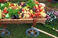 Vegetables in cart Royalty Free Stock Photo