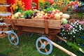 Vegetables in cart Royalty Free Stock Photo