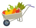 Fresh Harvest in Cart, Vegetable in Trolley Vector Royalty Free Stock Photo