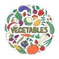 Vegetables circle composition. Big set of hand drawn colorful vegetables and herbs. Cooking concept for kitchen, restaurant, cafe