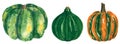 Vegetables clipart set, decorative pumpkin squash, hand drawn watercolor illustration