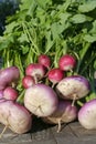 Vegetables closeup